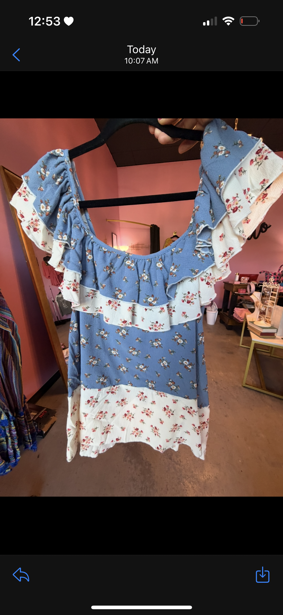 Blue Floral Ruffle Top (LG)