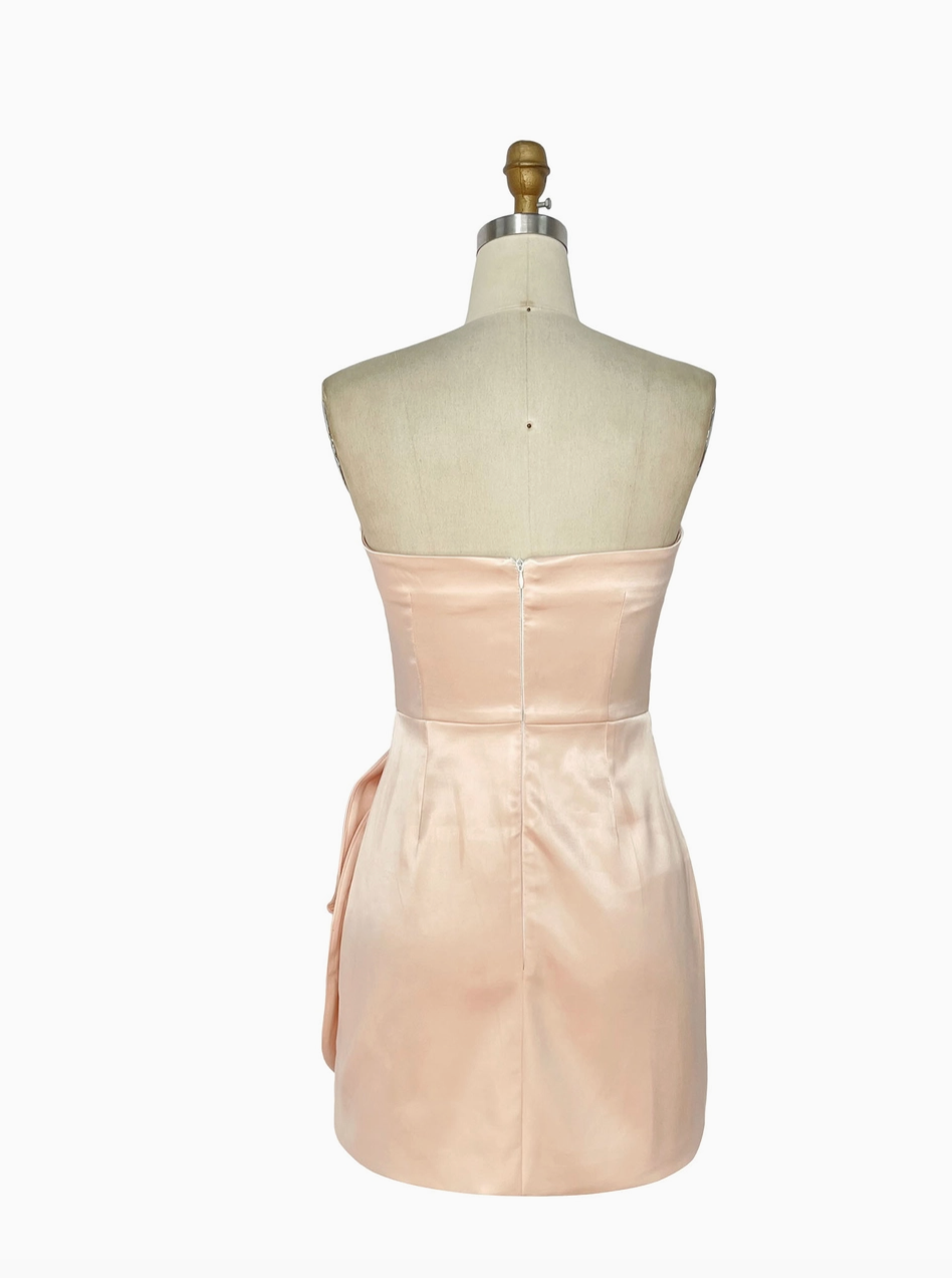Pink Rose Mini Dress