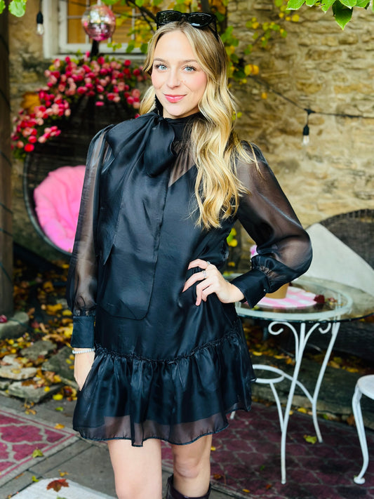 Black Organza Dress