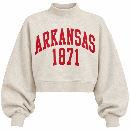 Arkansas Mock Neck Crop Sweater