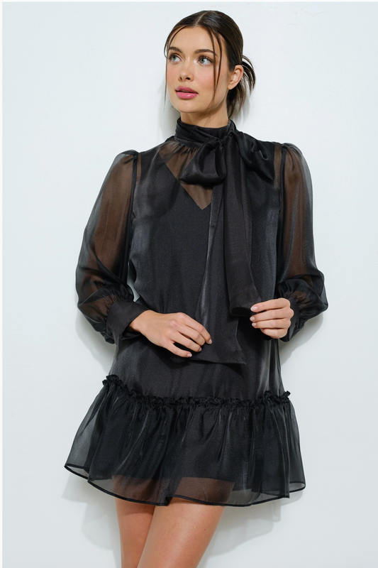 Black Organza Dress